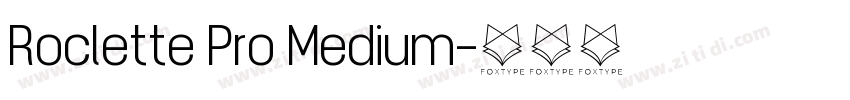 Roclette Pro Medium字体转换
